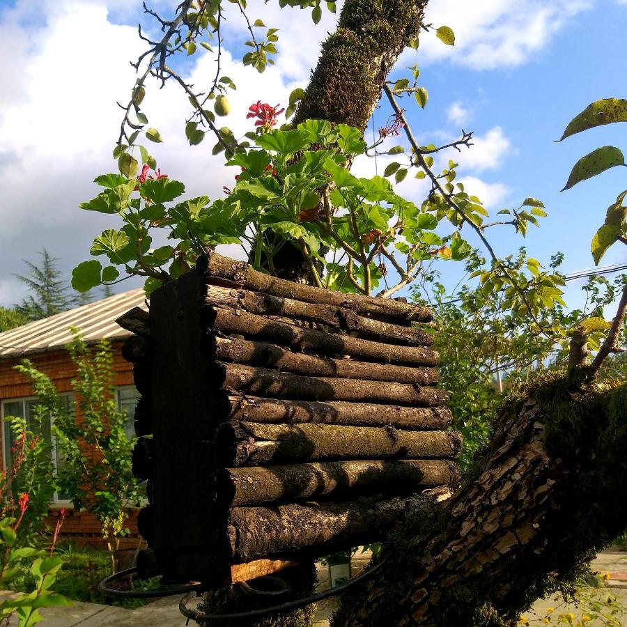 Дом отдыха Magdan House Цхалтубо