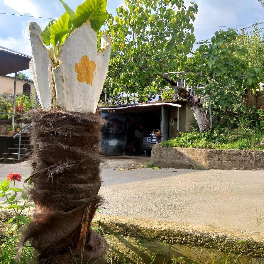 Holiday home Magdan House
