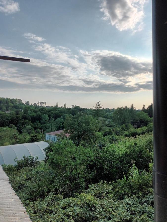 Magdan House Дом отдыха Цхалтубо
