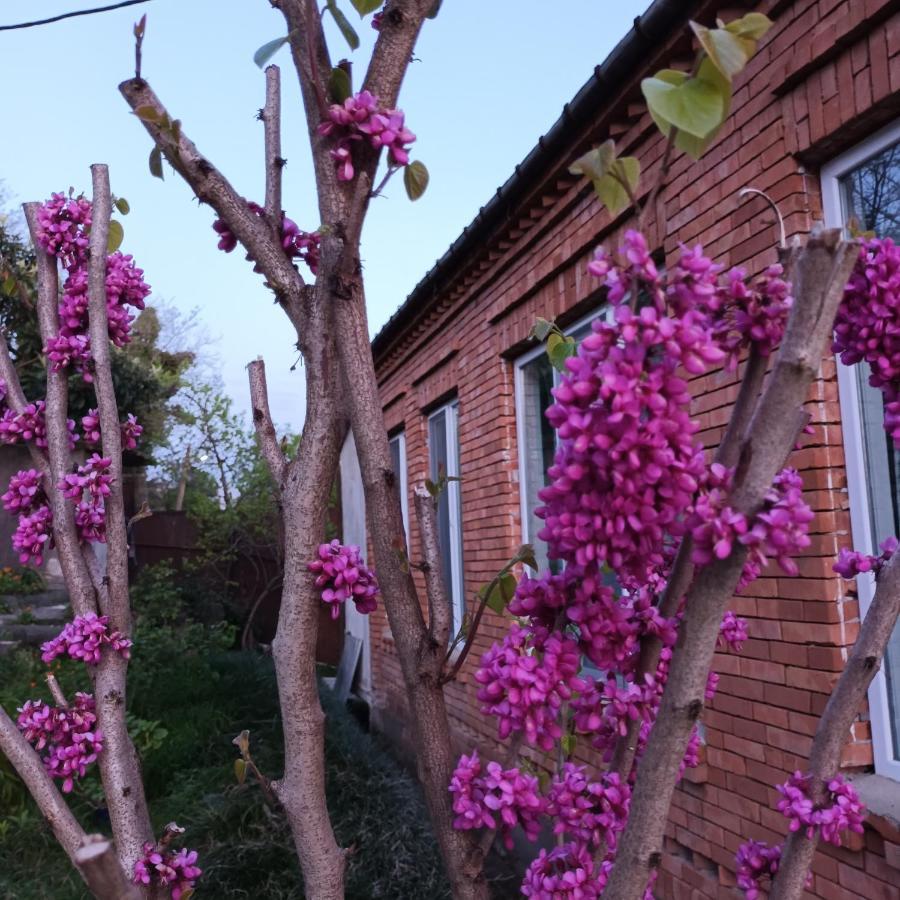 Magdan House *