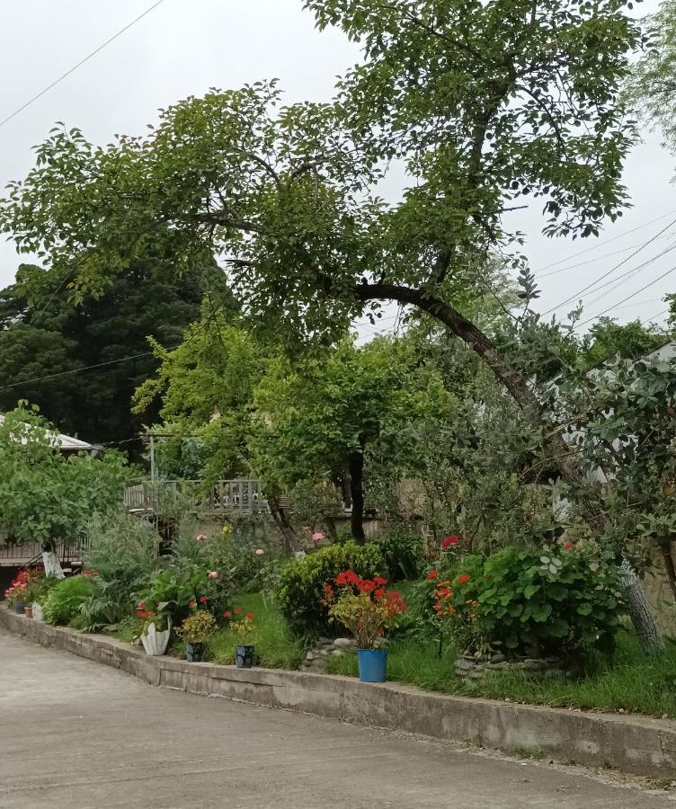 Magdan House *