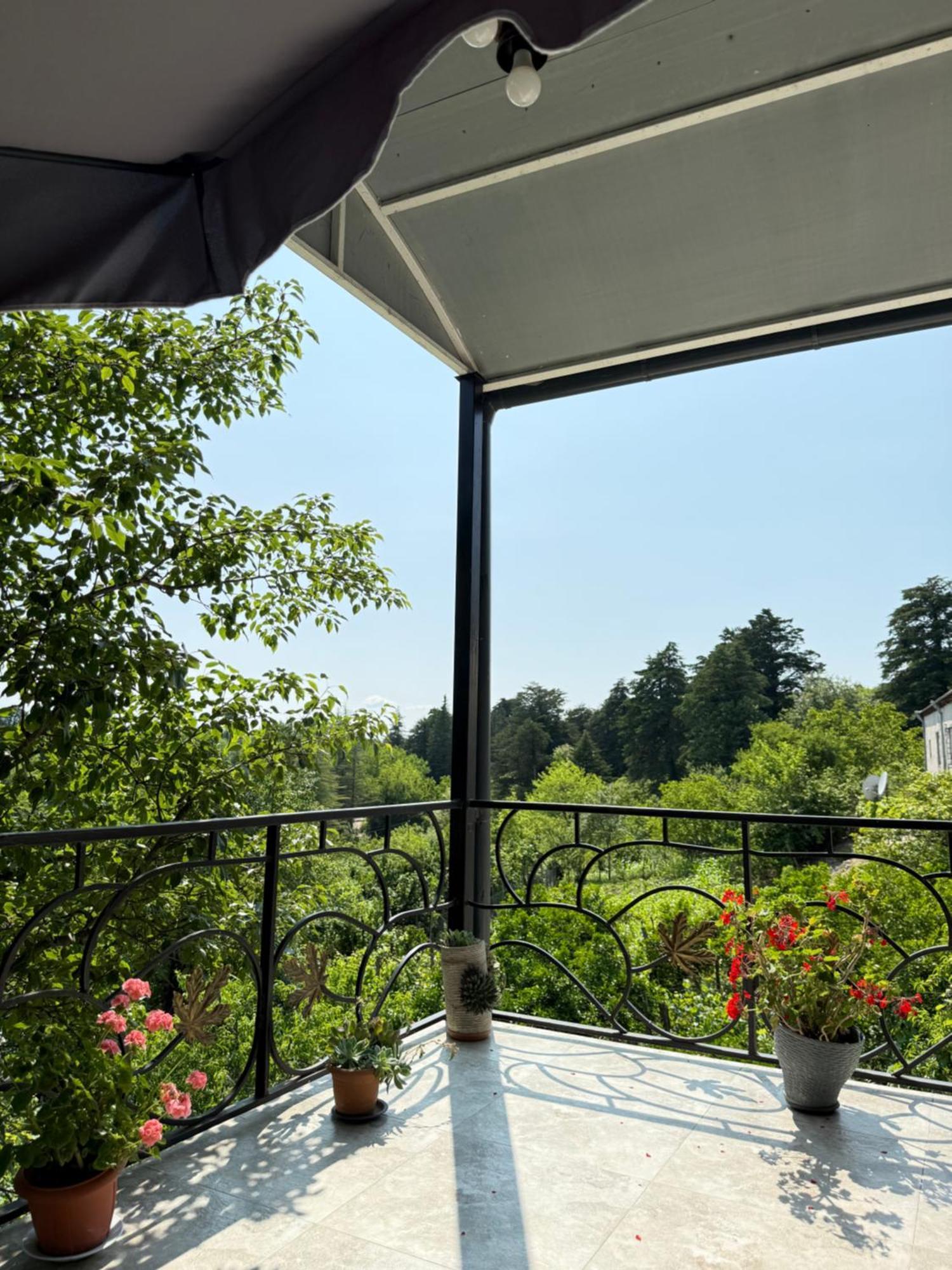 Magdan House *